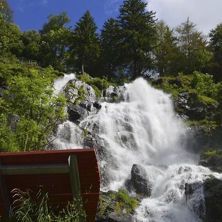 Waldloft Titisee Exterior foto