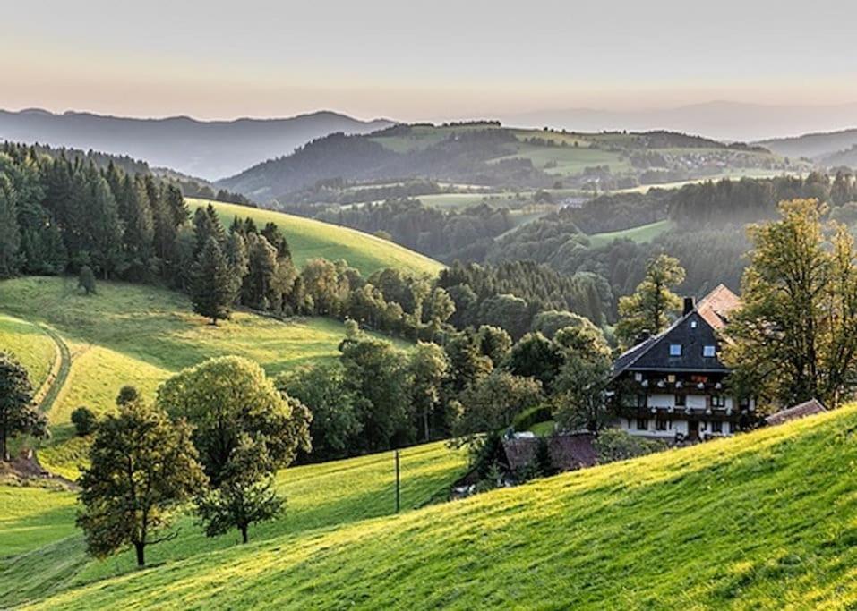 Waldloft Titisee Exterior foto