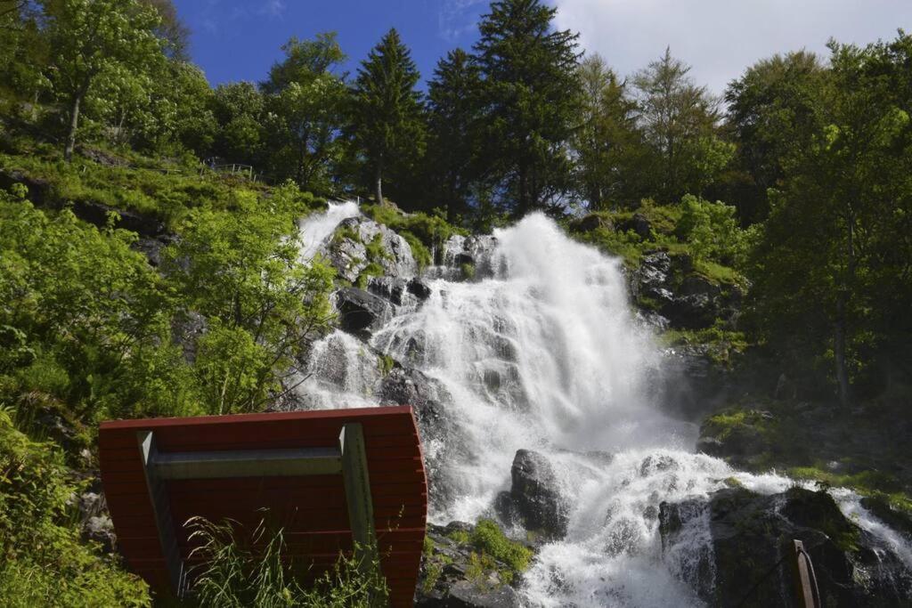 Waldloft Titisee Exterior foto